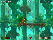 Load image into Gallery viewer, Crazy Chicken X (PC CD)
