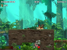 Load image into Gallery viewer, Crazy Chicken X (PC CD)
